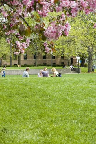Students studying outside on the UMN Morris campus